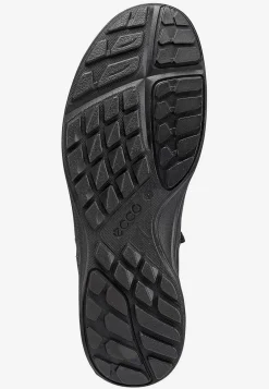 Outlet Sneaker Terracruise LT Sneakers